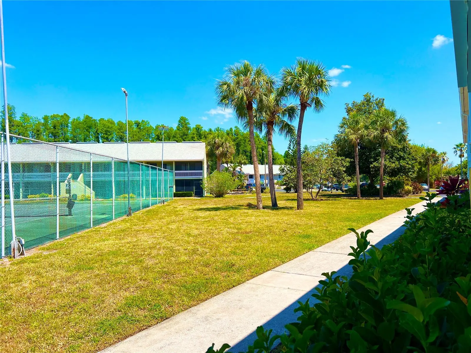 1849 Abrico Drive, FL