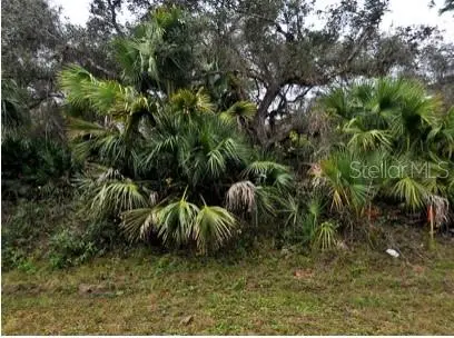 Babroff Terrace, FL