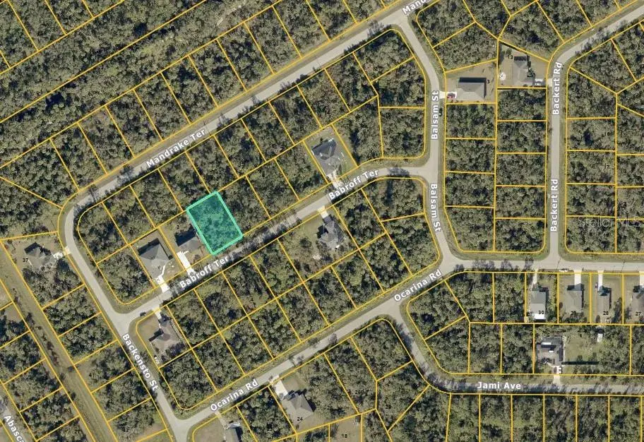 Babroff Terrace, FL