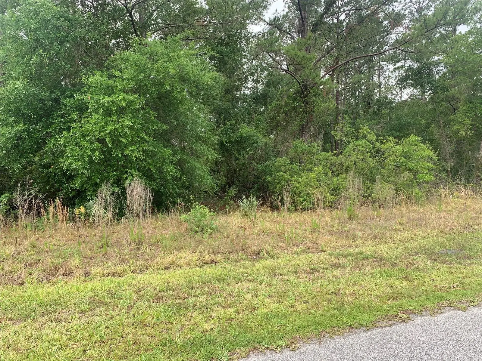525 Live Oak Loop, FL