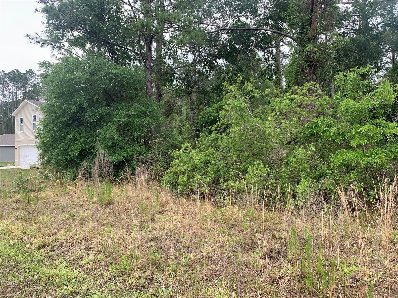 525 Live Oak Loop, FL