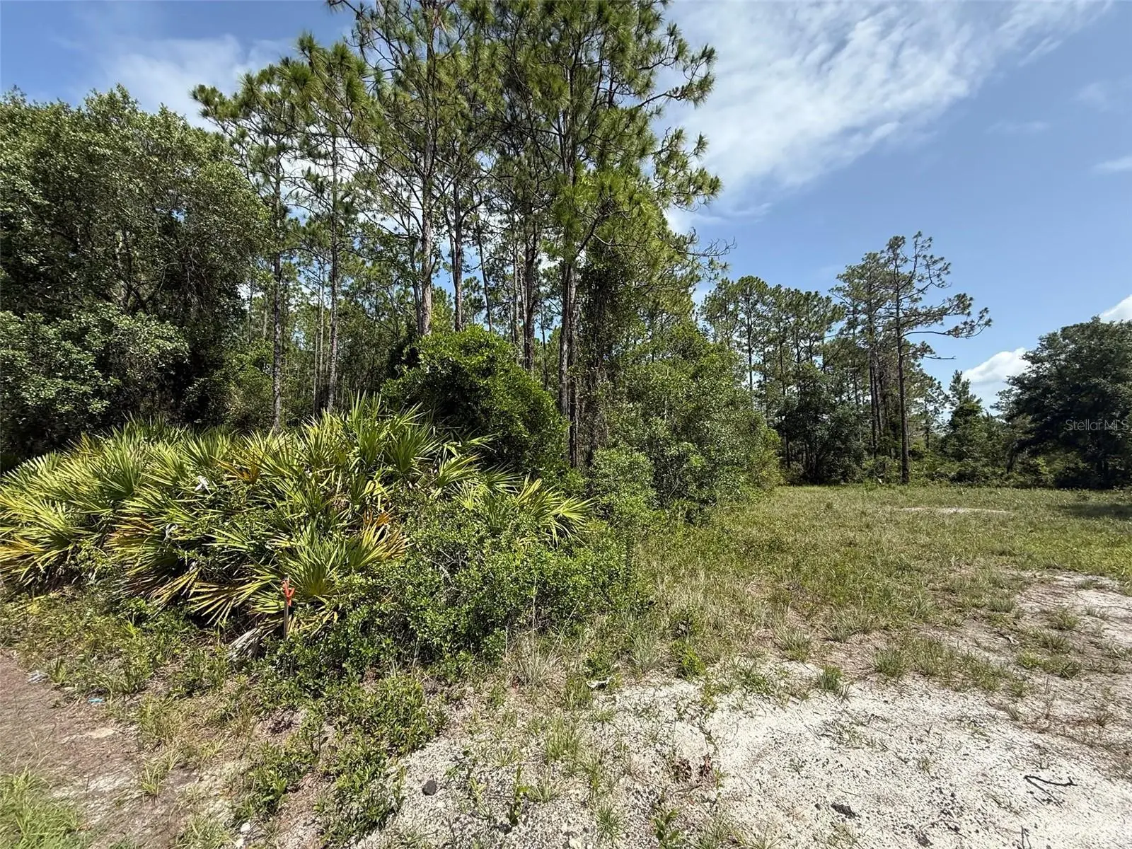174 Millican Road, FL