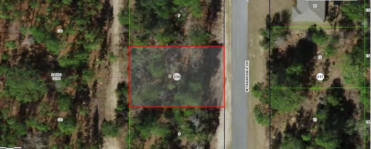 9120 Paradisea Drive, FL