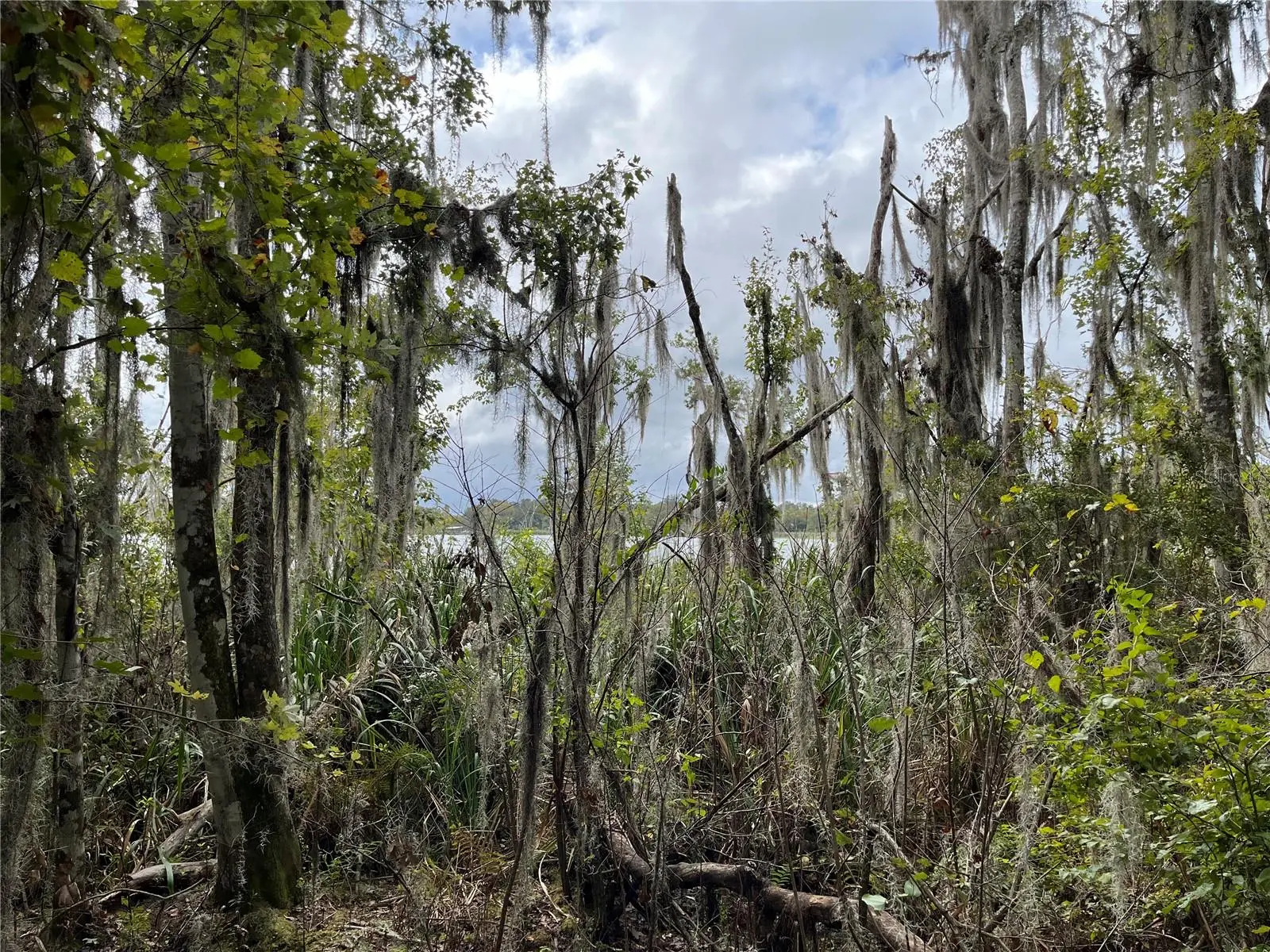 000 Hawthorne Road, FL
