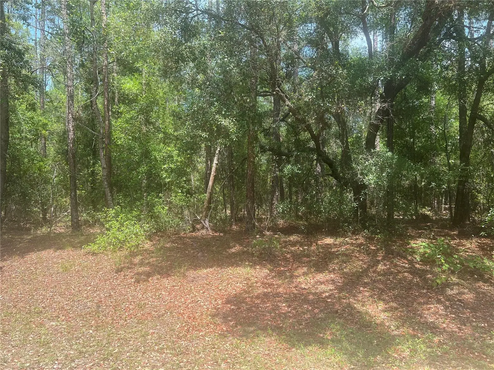8729 Wallingford Avenue, FL