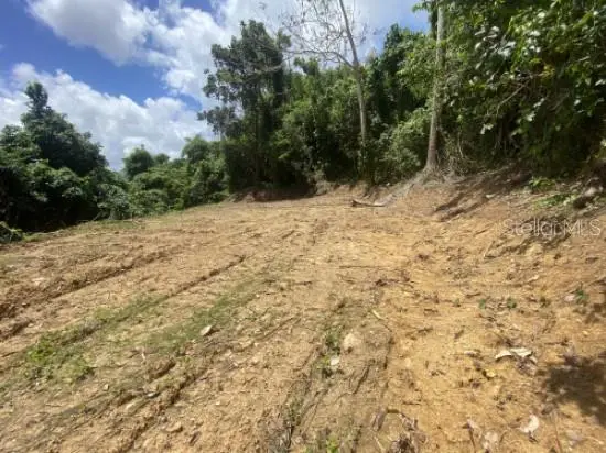 Bo. Turabo, PR