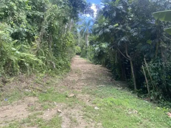 Bo. Turabo, PR