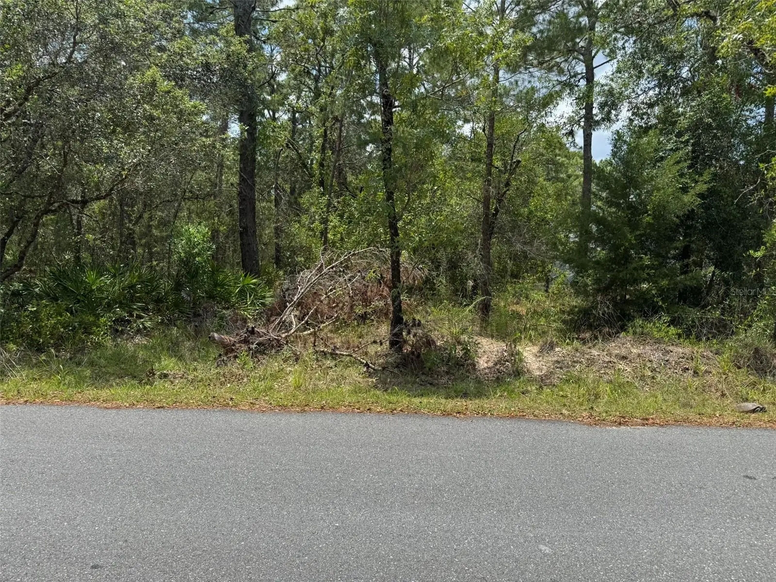 Lot 62 Michigan Avenue, FL