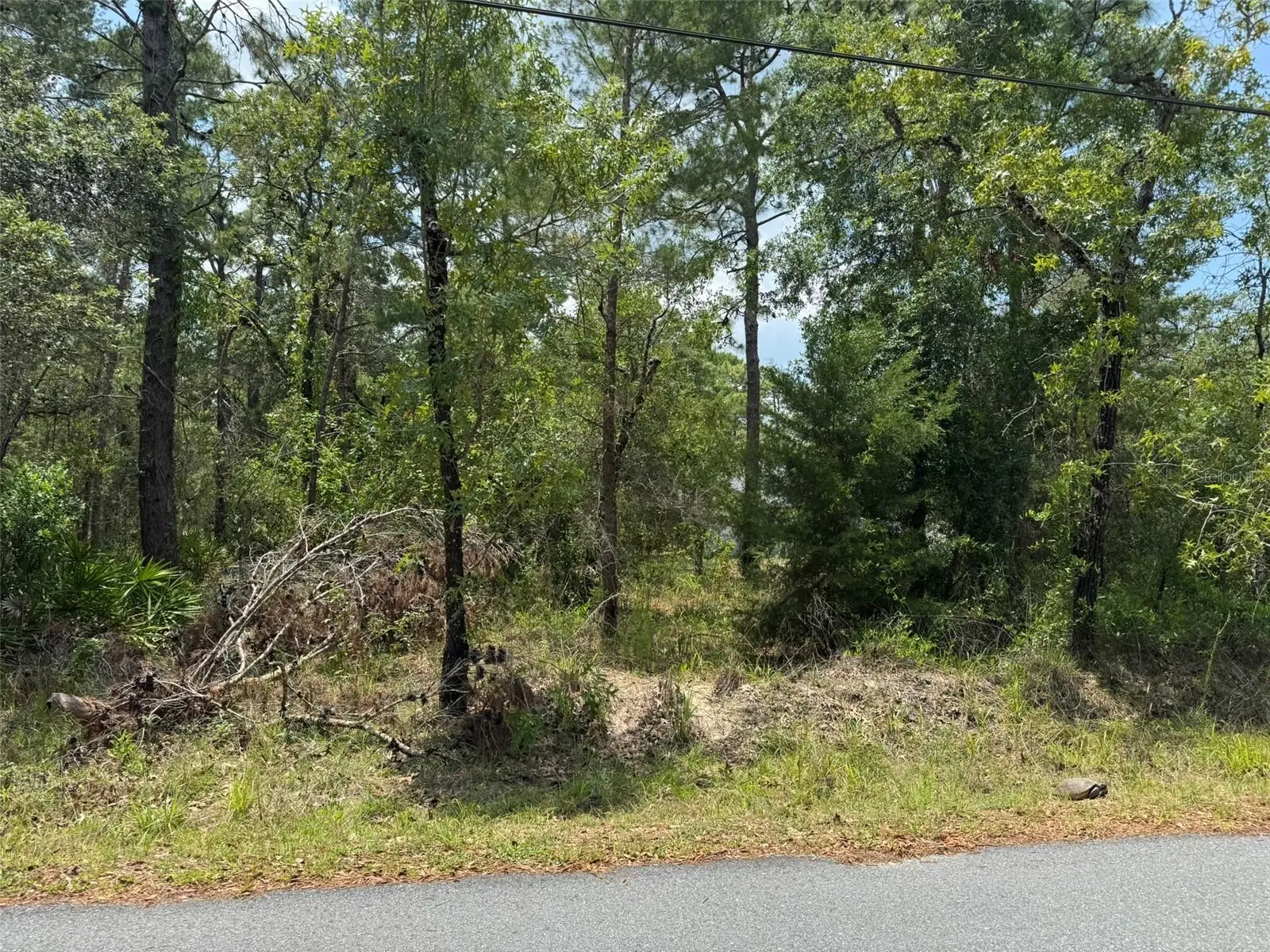 Lot 62 Michigan Avenue, FL