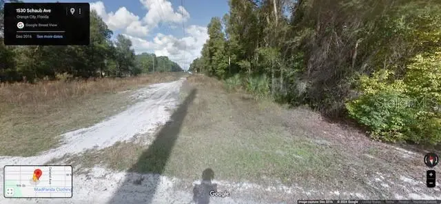 Schaub Avenue, FL
