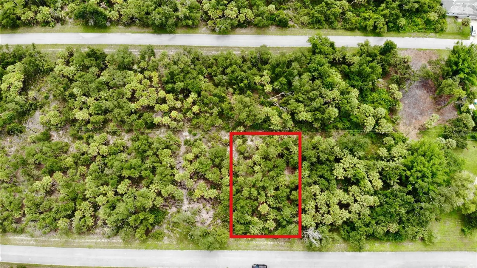 3144 Mathew Street, FL