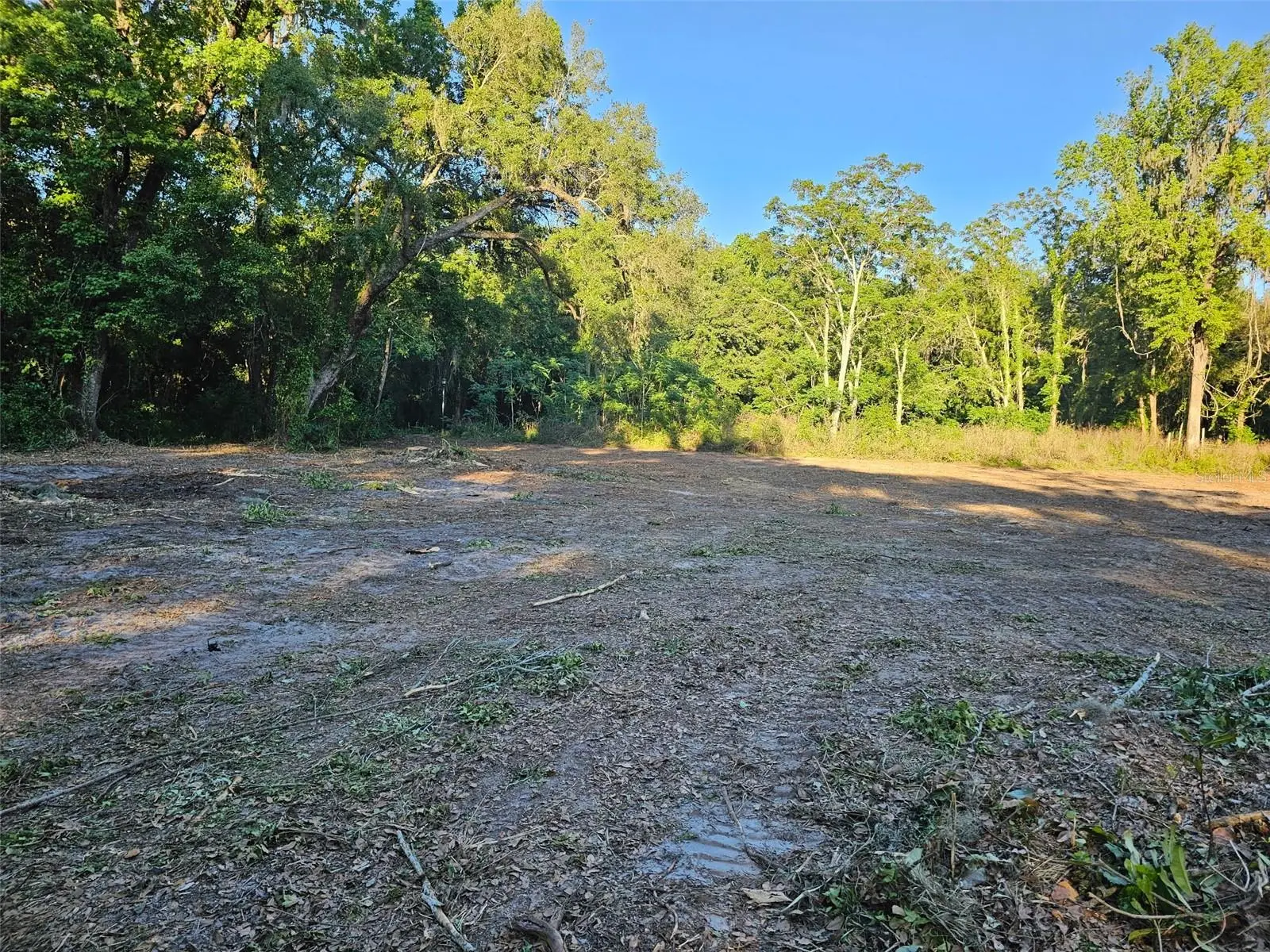359 Savannah Oaks Drive, FL