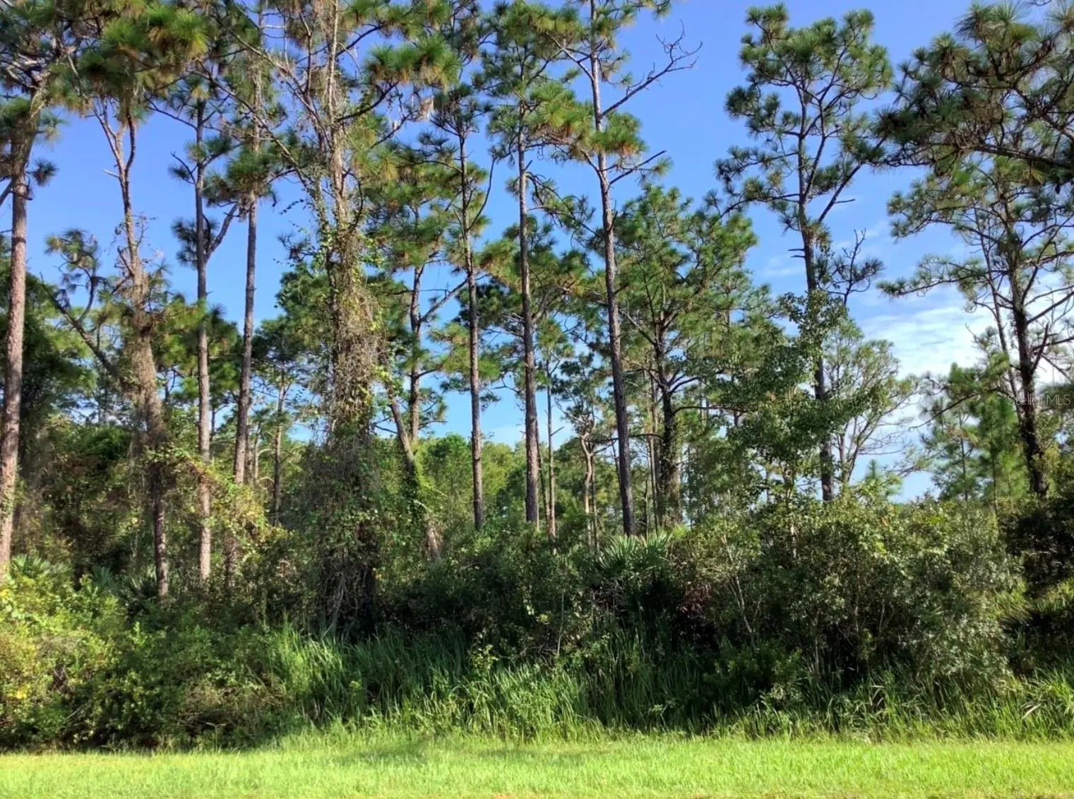 Quinella Street, FL