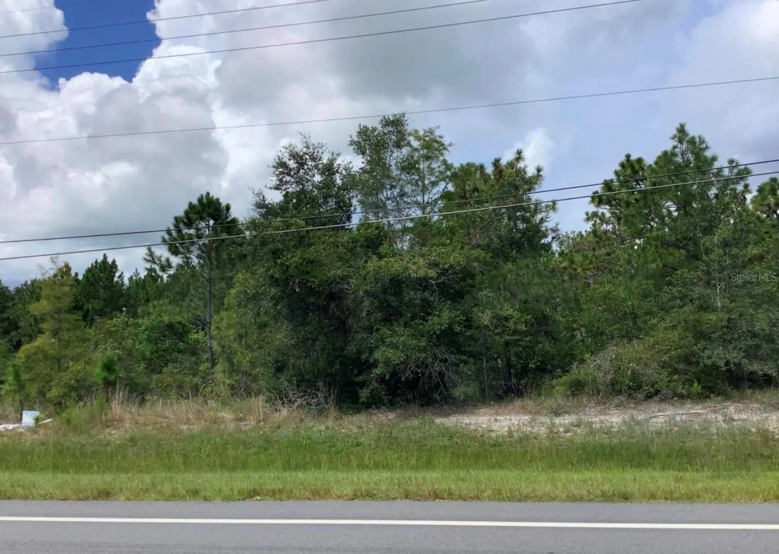 Dallas Boulevard, FL