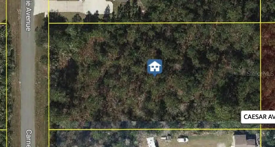 Carnegie Avenue, FL