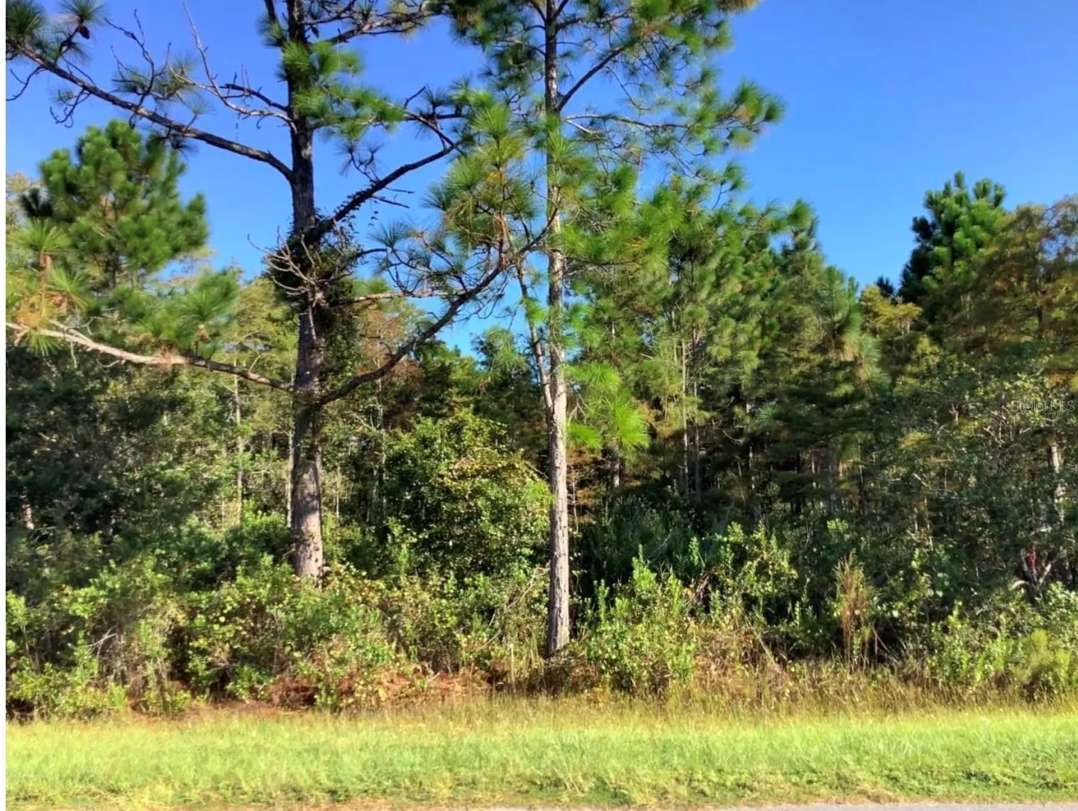 Ralston Street, FL