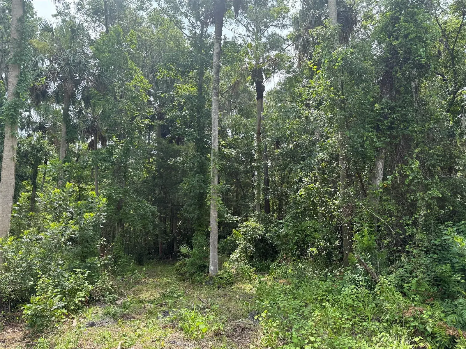 Okaloosa Trail, FL