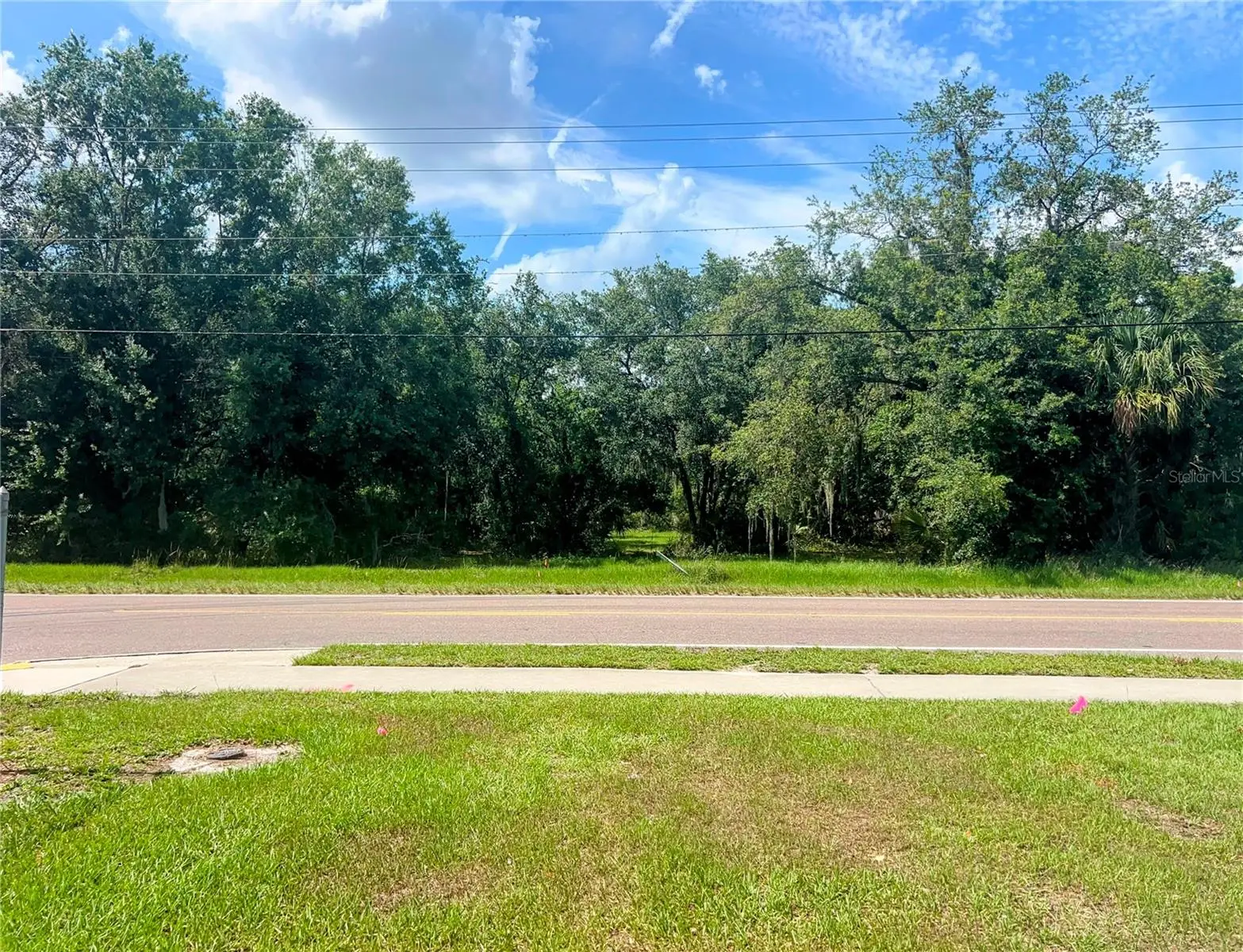 1308 Alsobrook Street, FL