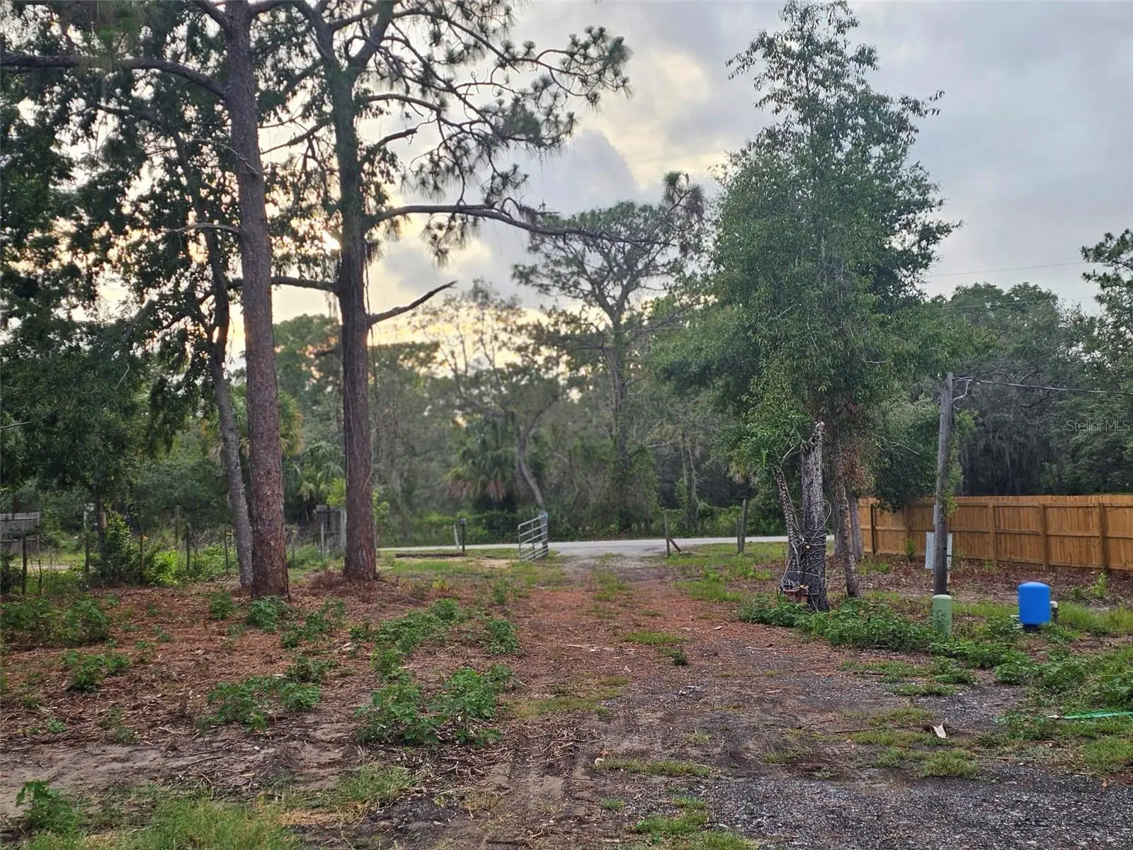 17132 Ridgeline Trail, FL
