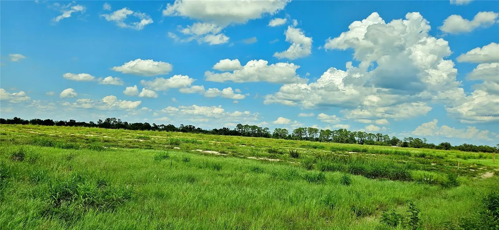 Mammoth Grove Road, FL
