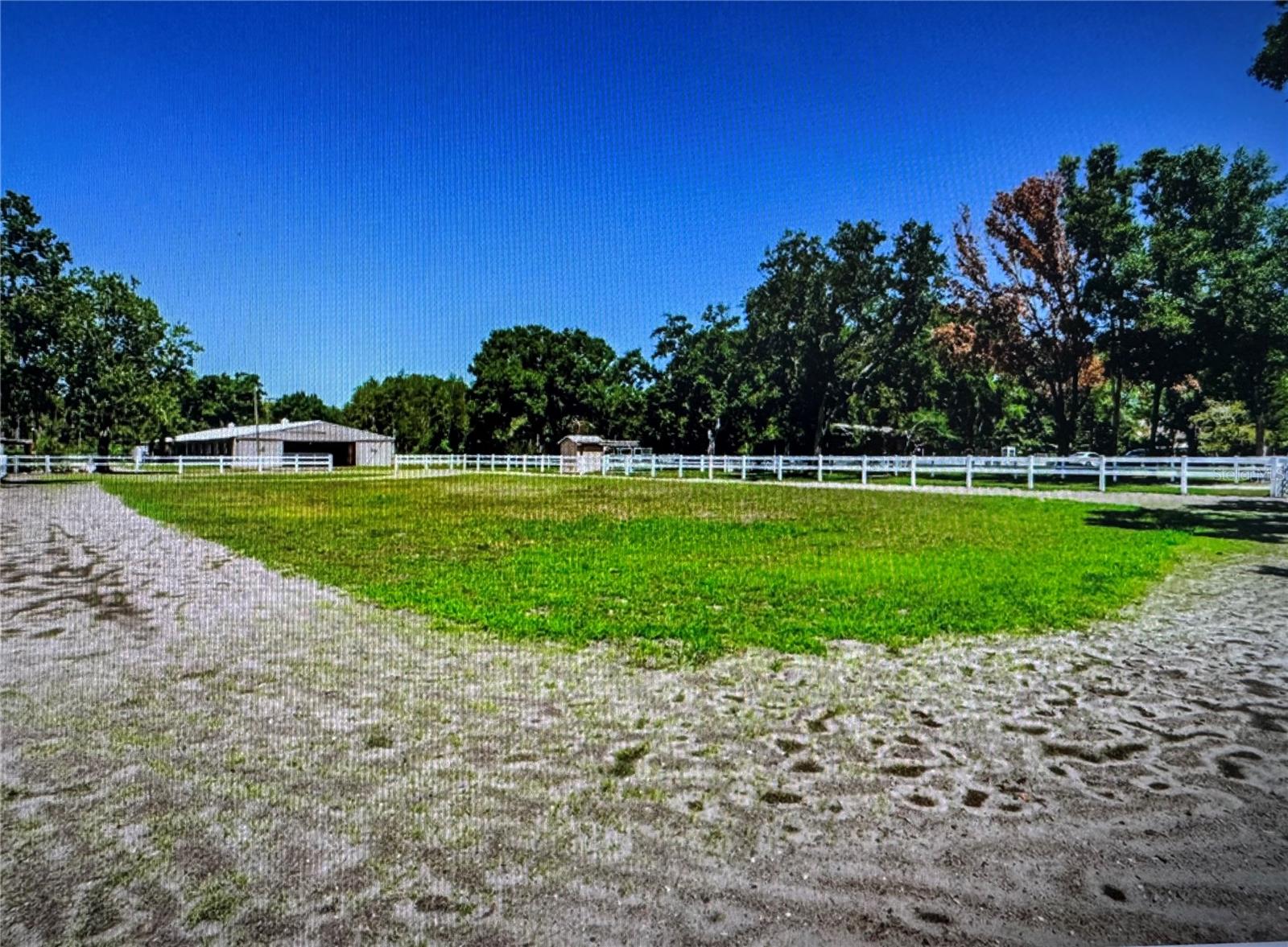 10502 Henderson Road, FL