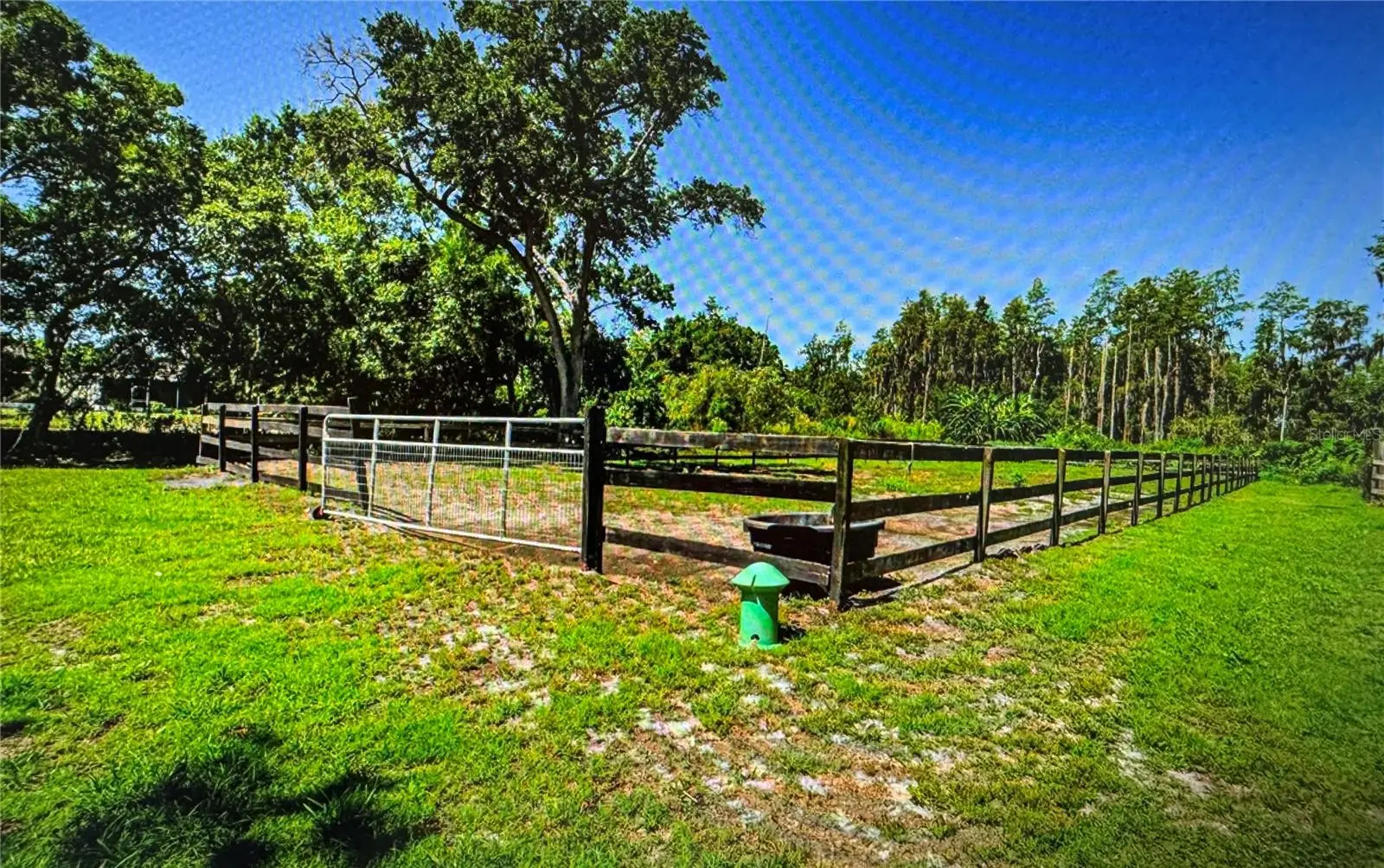 10502 Henderson Road, FL