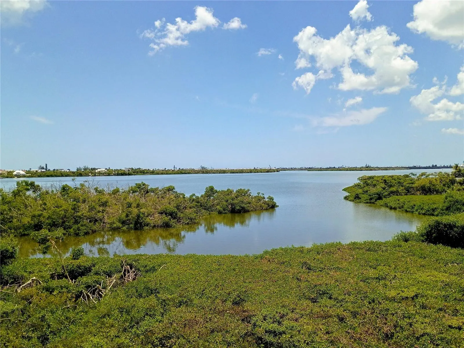 10131 Eagle Preserve Drive, FL