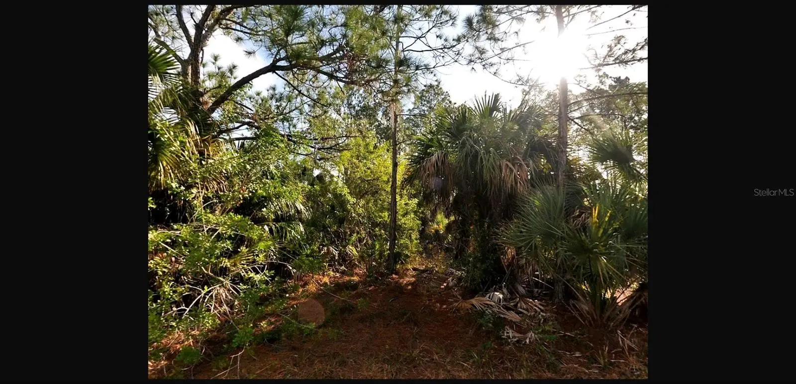 Sernice Street, FL