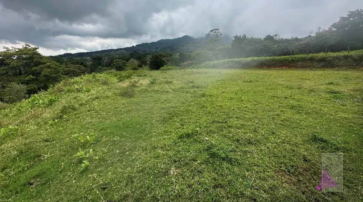 San Josesito, OC