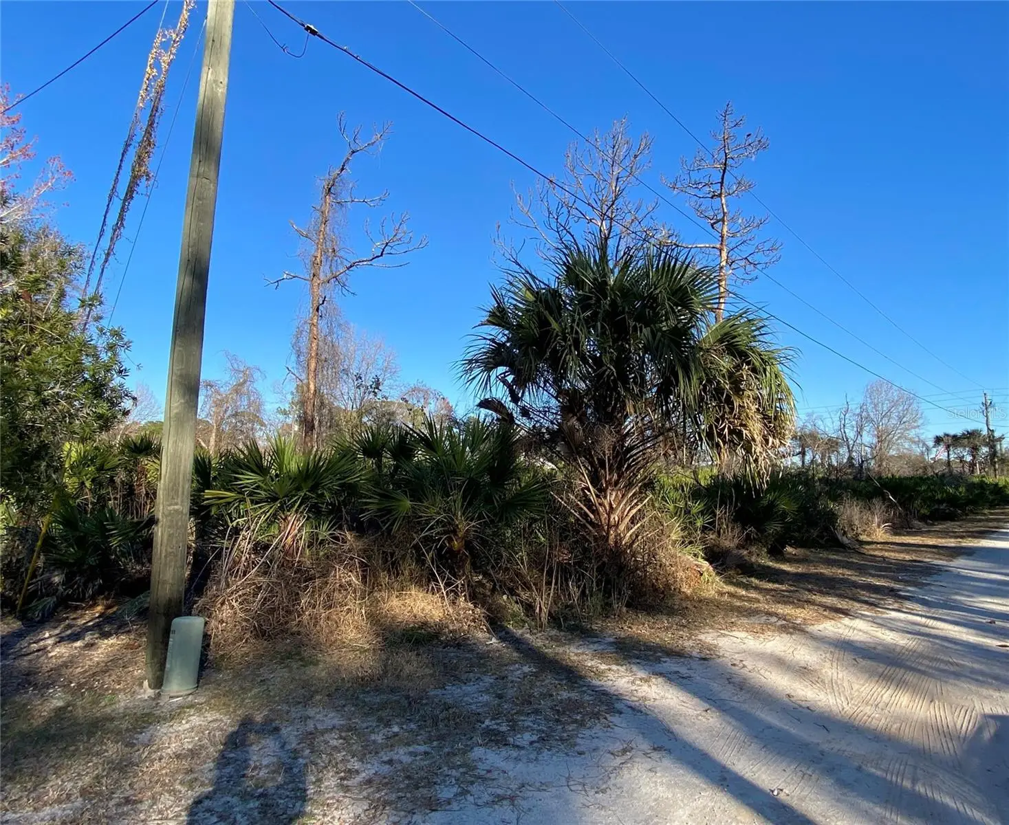 Sr-415, FL