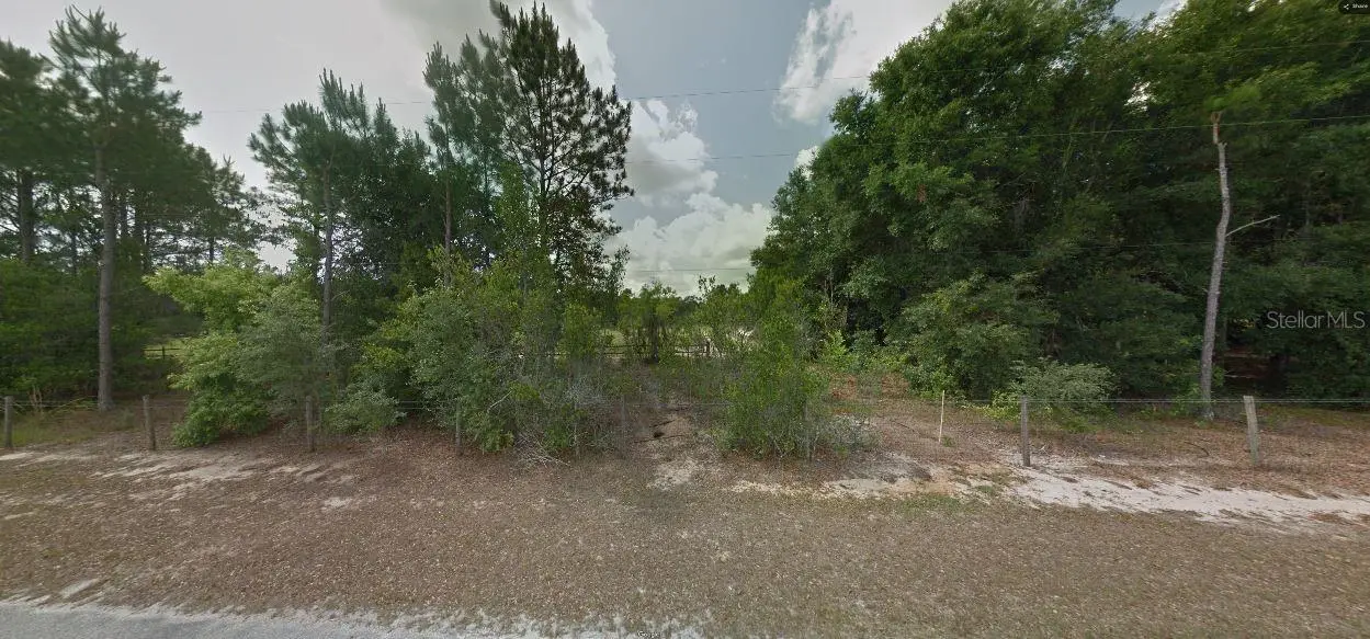 Calvin Lee Road, FL