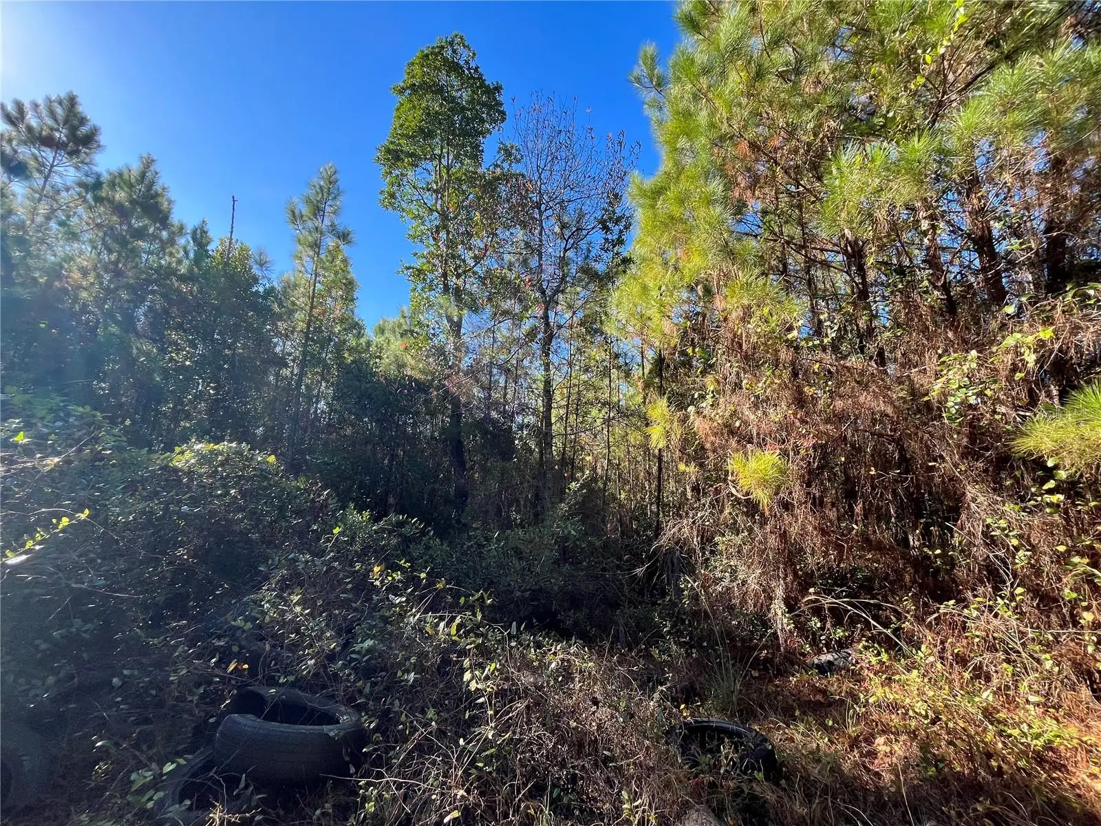 223 Mourning Dove Road, FL