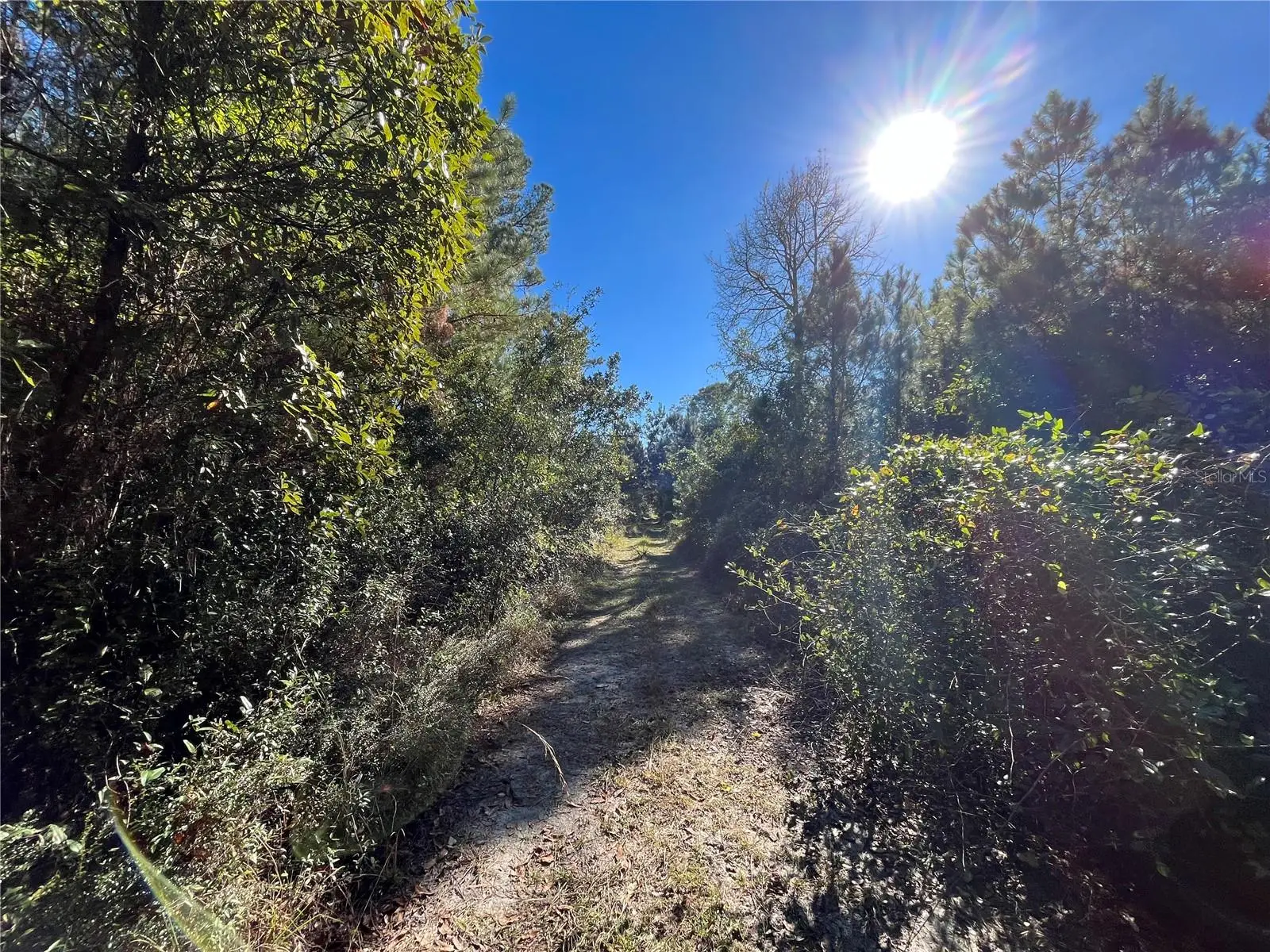 223 Mourning Dove Road, FL