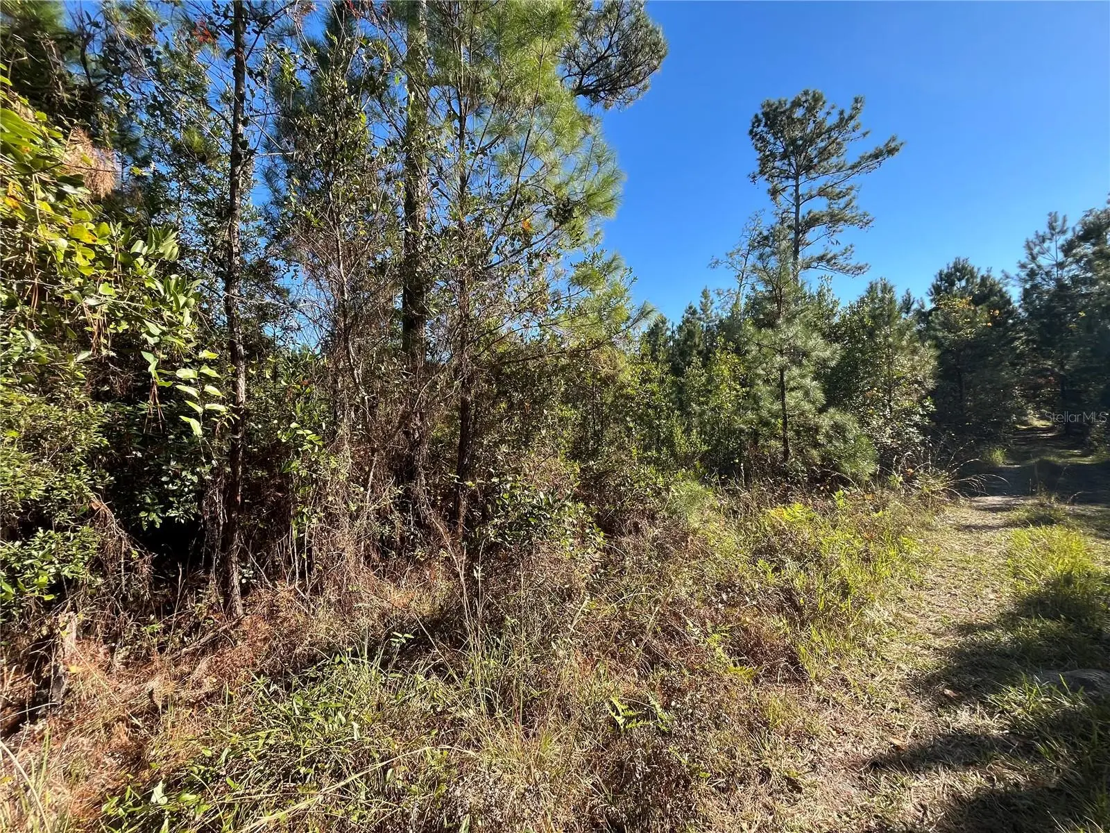 223 Mourning Dove Road, FL