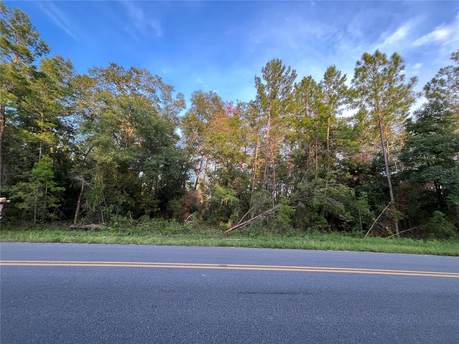 Tbd Twin Lakes Road, FL
