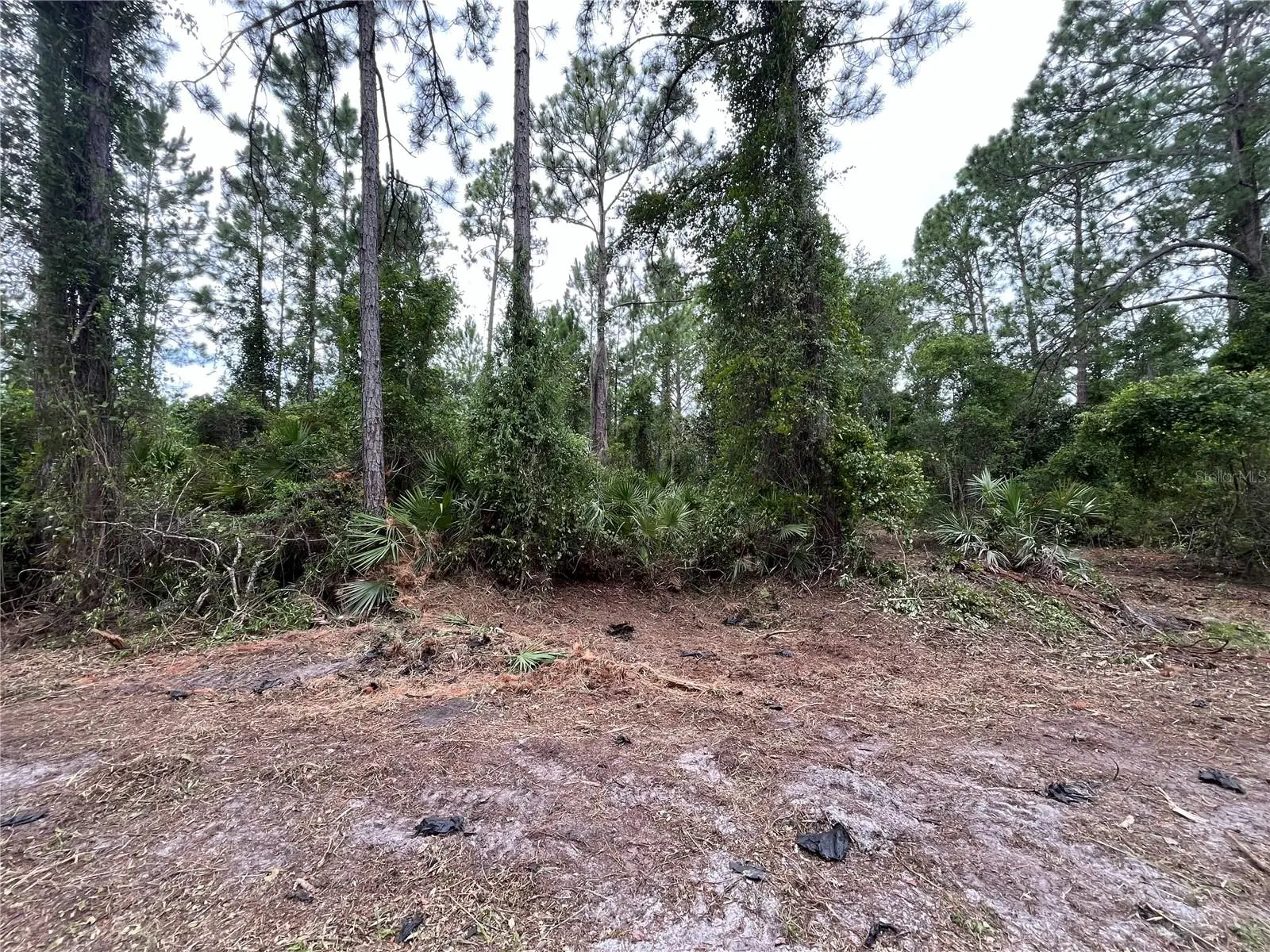 147 Roebuck Street, FL