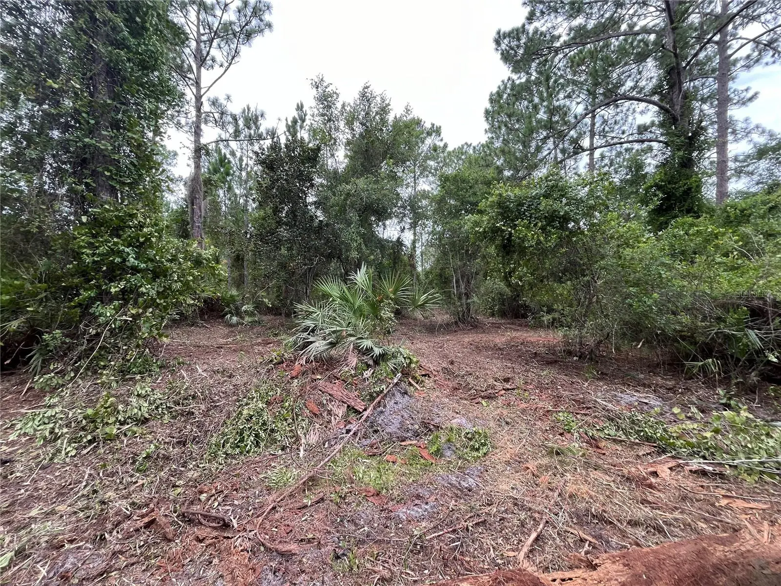 147 Roebuck Street, FL