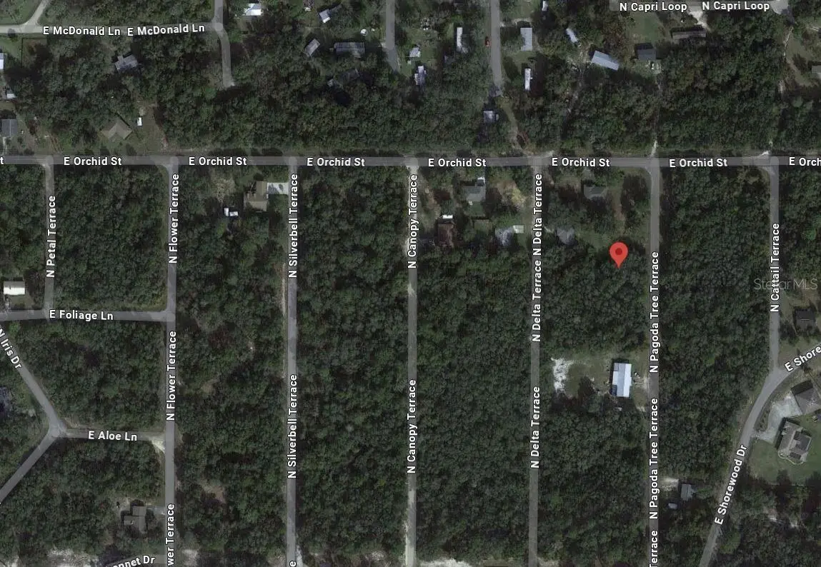 6634 Pagoda Tree Terrace, FL