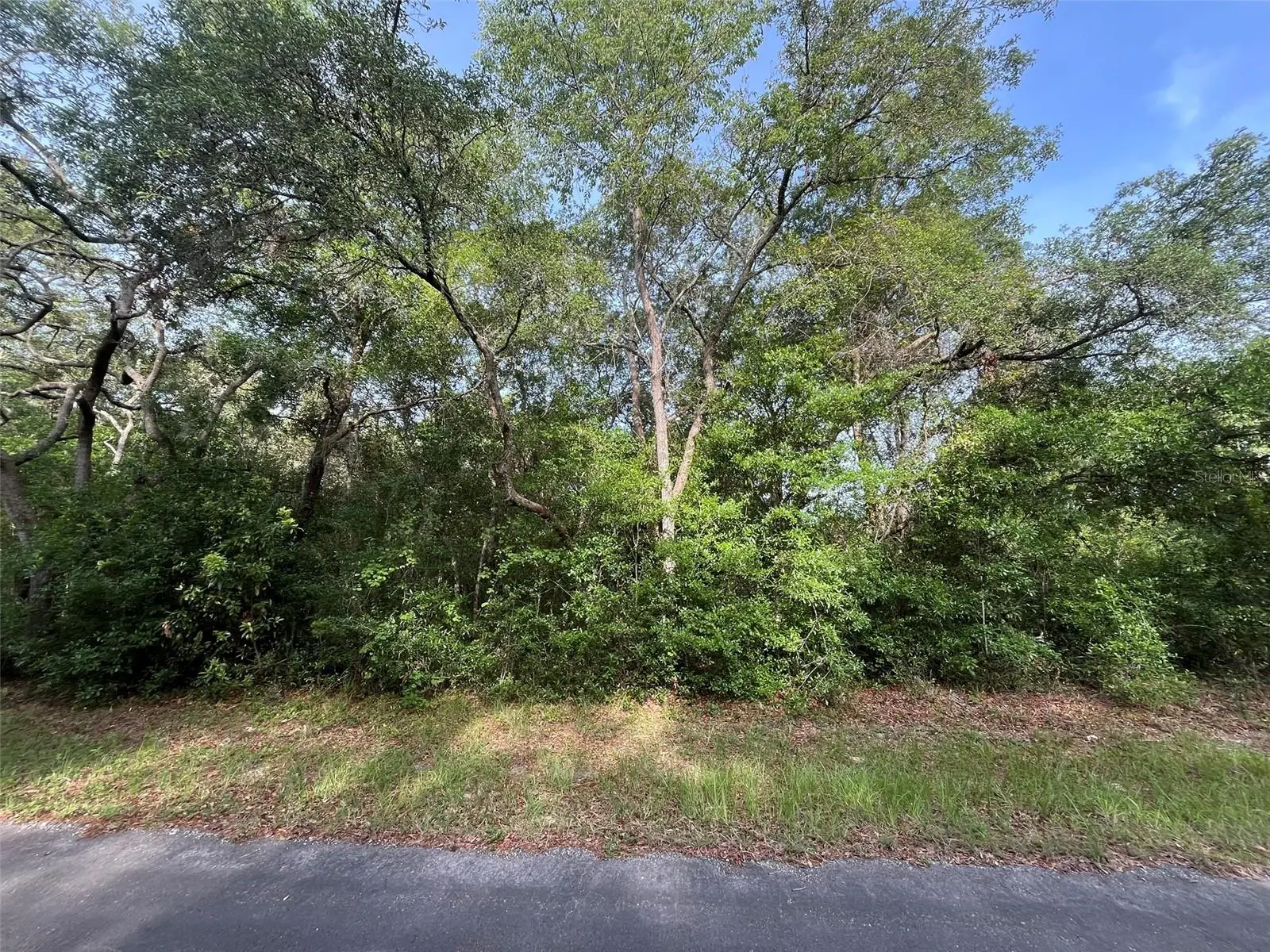 6634 Pagoda Tree Terrace, FL