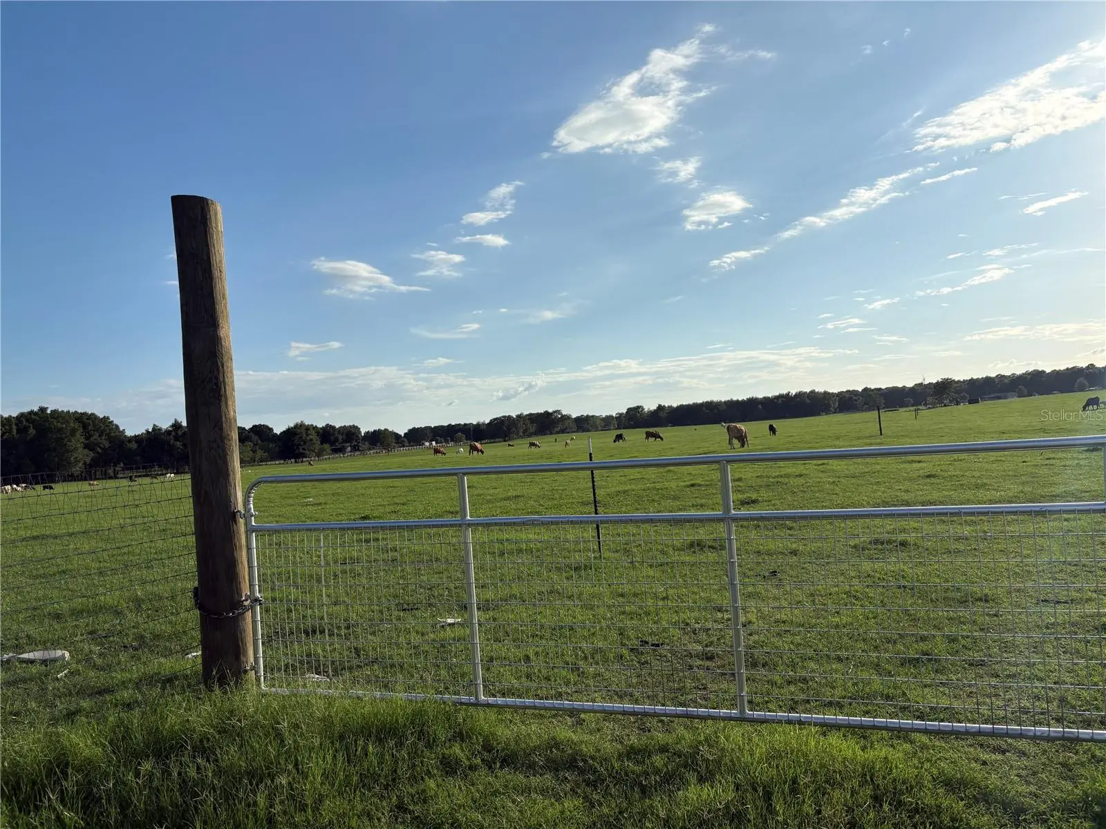 13994 County Road 209, FL