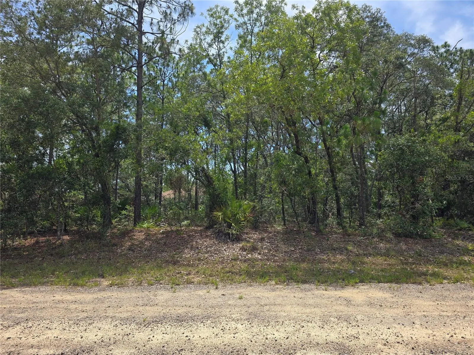 6468 Baylor Terrace, FL