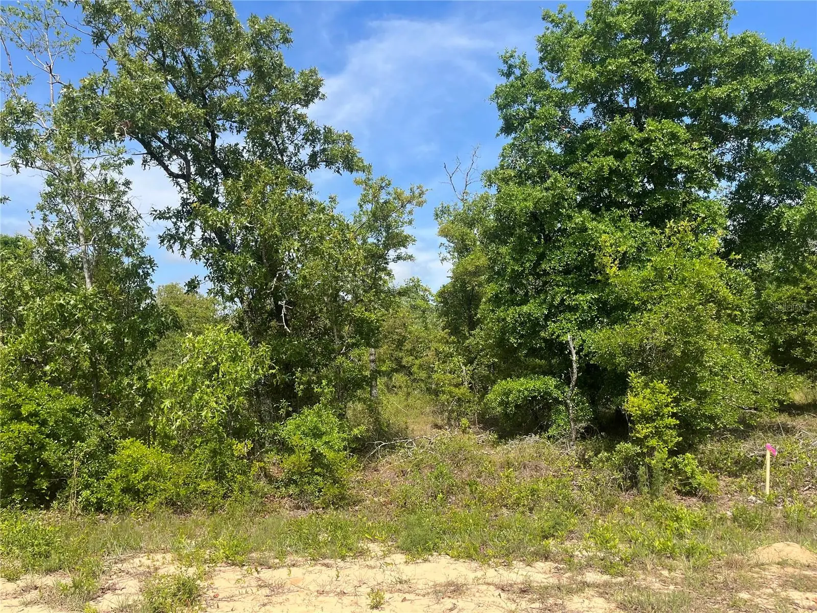 Rome Avenue, FL