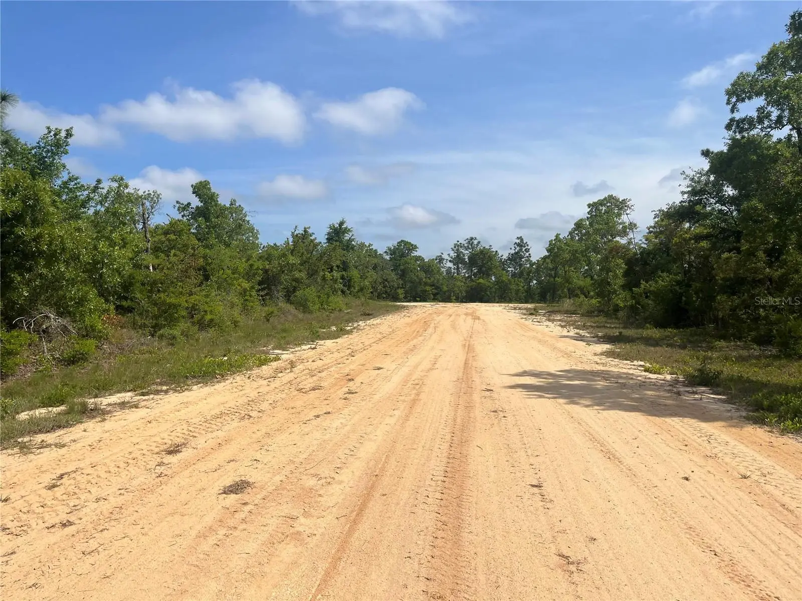 Rome Avenue, FL