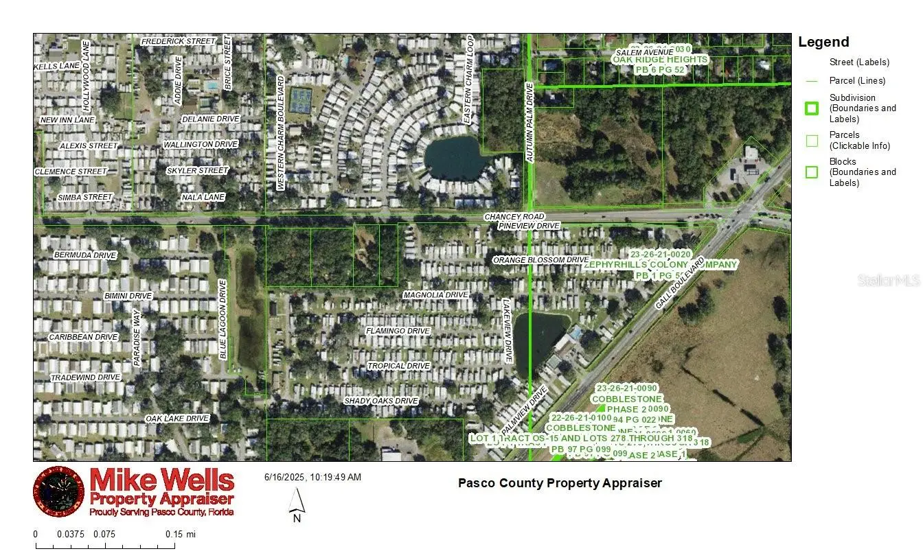 37750 Chancey Road, FL