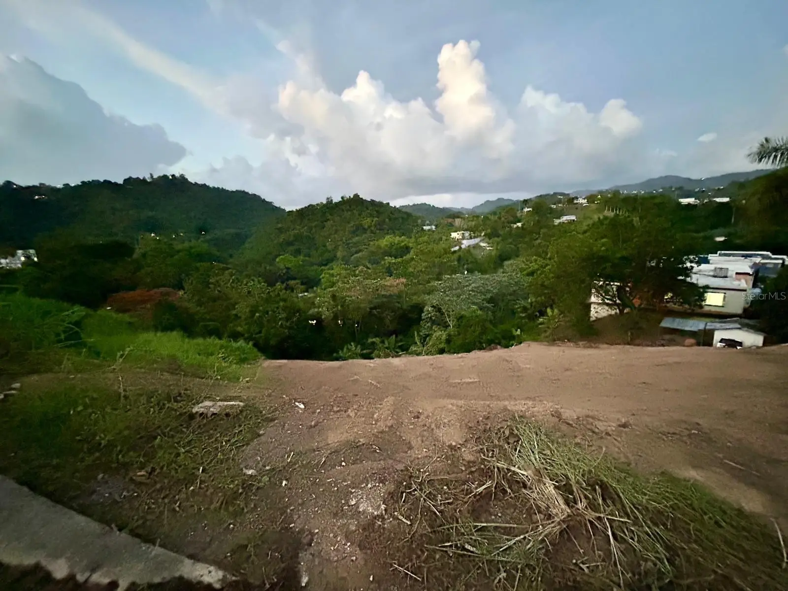 164 St. Km 4.4 Bo. Nuevo, PR