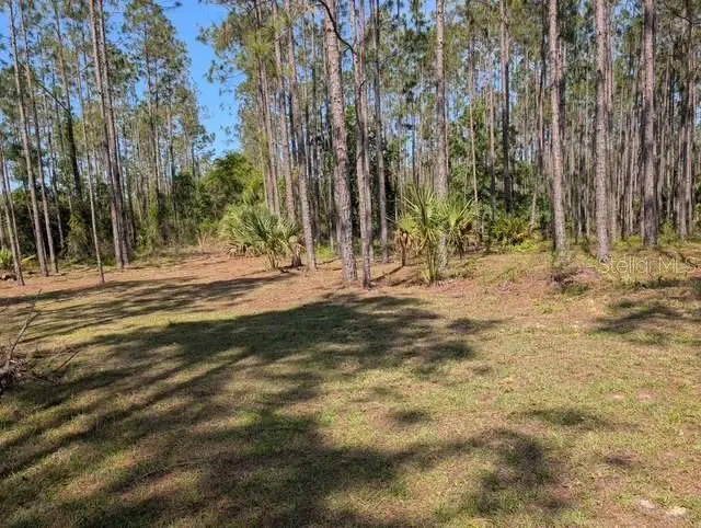 540 326th Avenue, FL