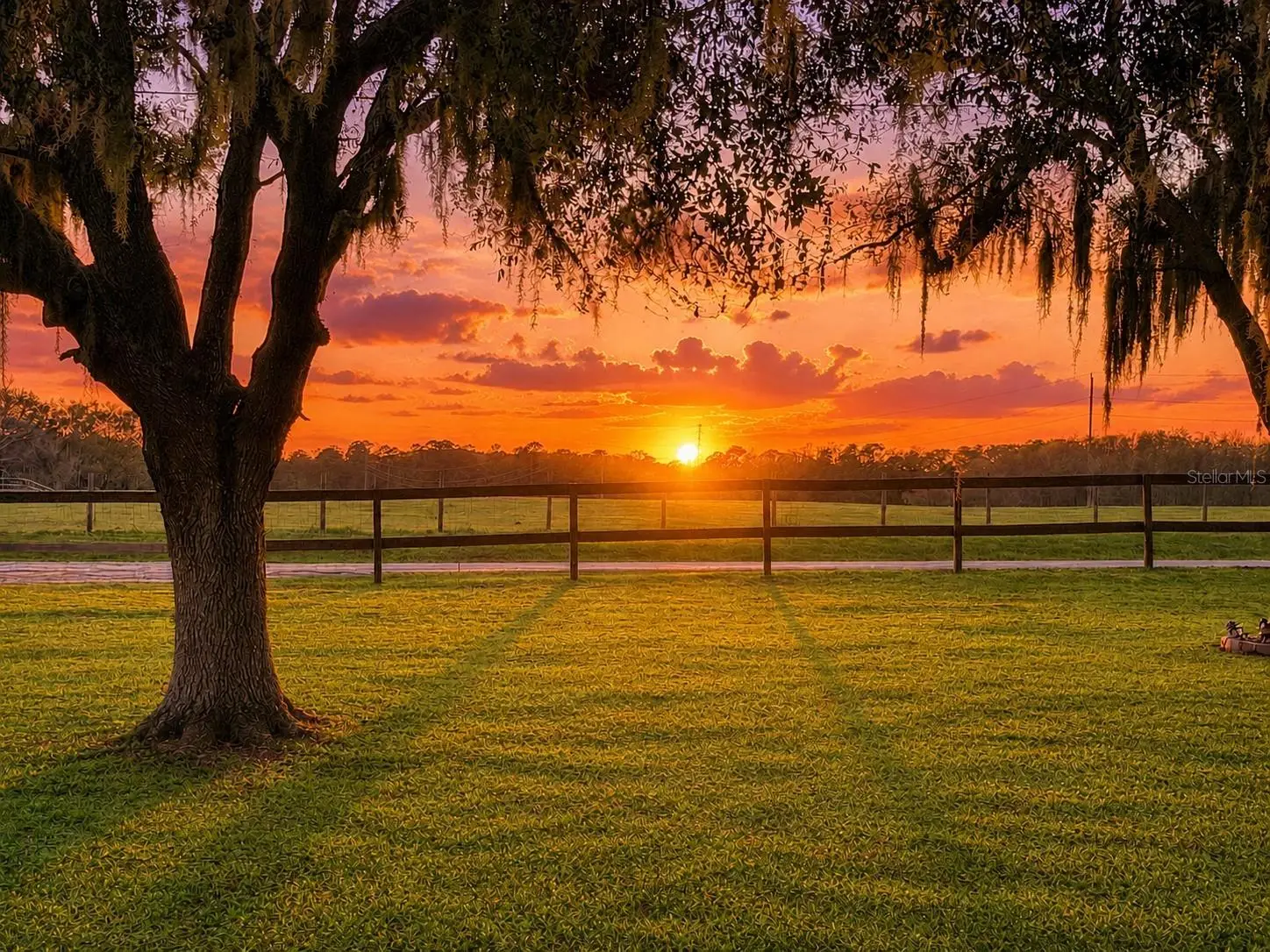 12651 County Road 337, FL