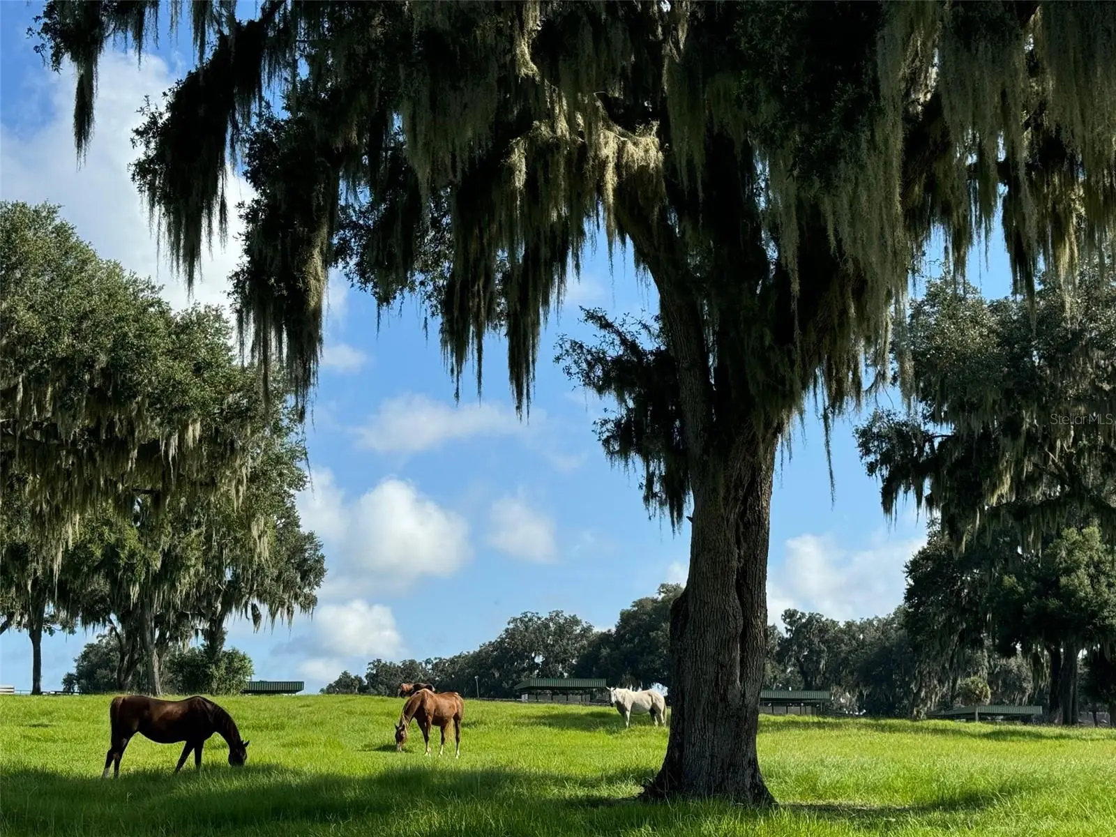 5540 Se 157th Street Road, FL