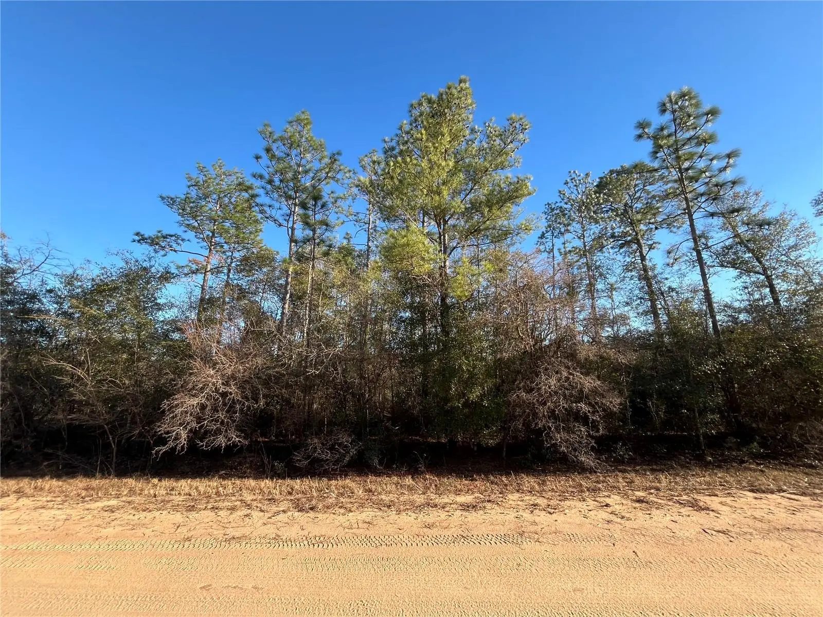 Goreville Avenue, FL