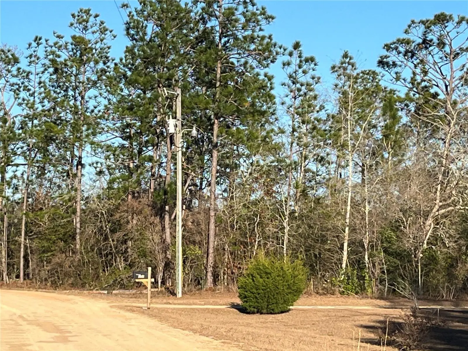 Goreville Avenue, FL